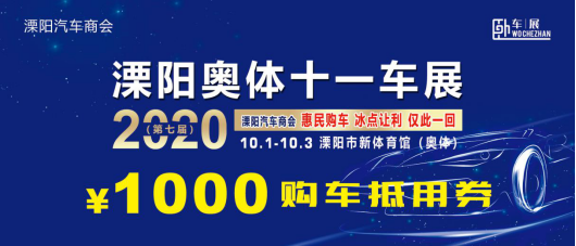 2020年溧陽(yáng)市十一車(chē)展 新聞842